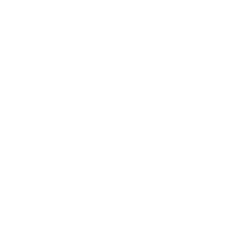 INTERPOL Logo